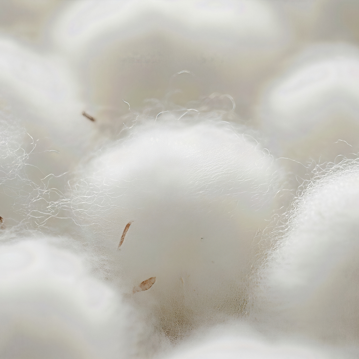 Introducing modal fiber